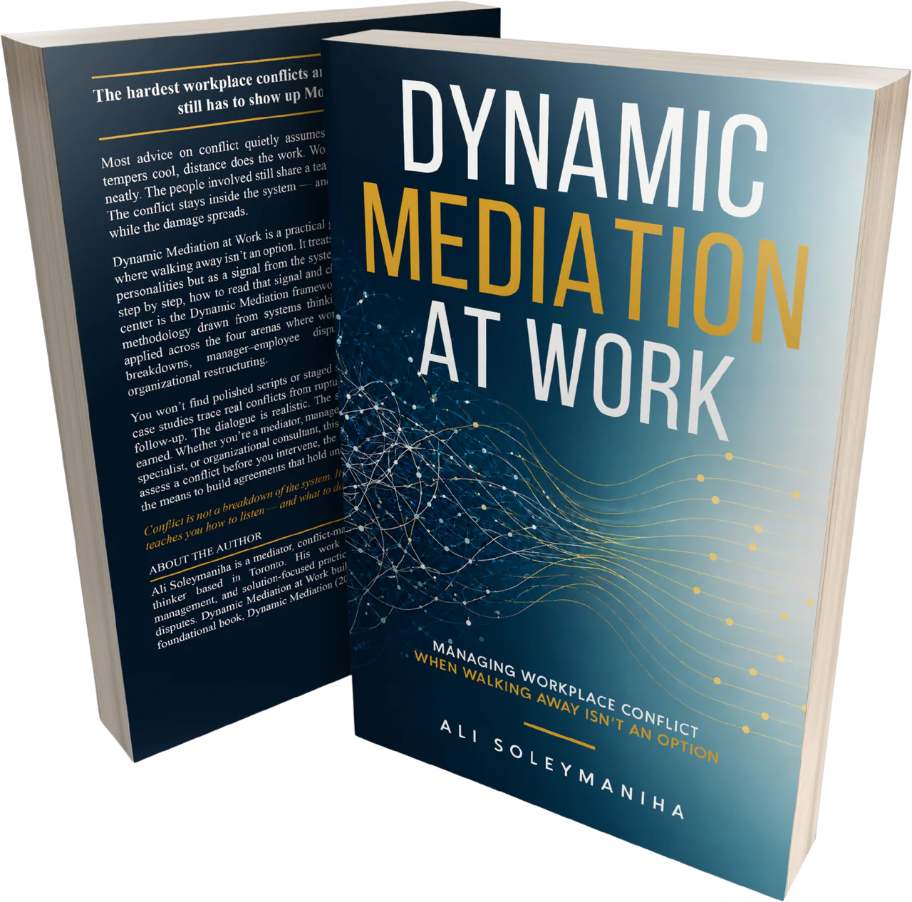 Dynamic Mediation at Work book cover